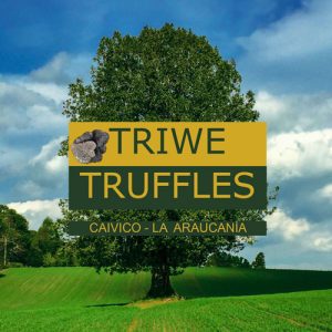 Triwe-Truffles