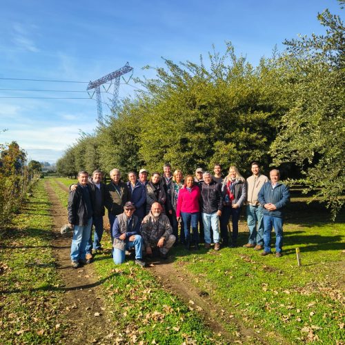 PROGRAMA VISITAS DE CAMPO CON DANIEL OLIACH