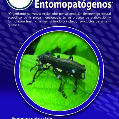 Control biológico de plagas. Parte 2.