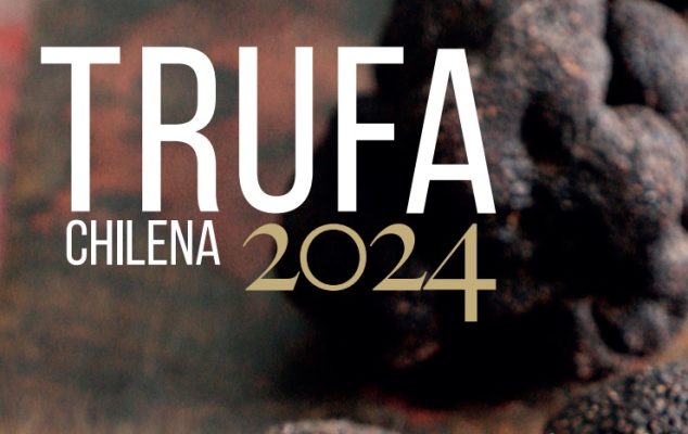 trufa chilena 2024